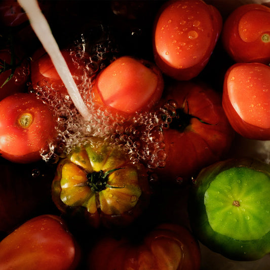 Tomato Trellis - Best Sellers Duo